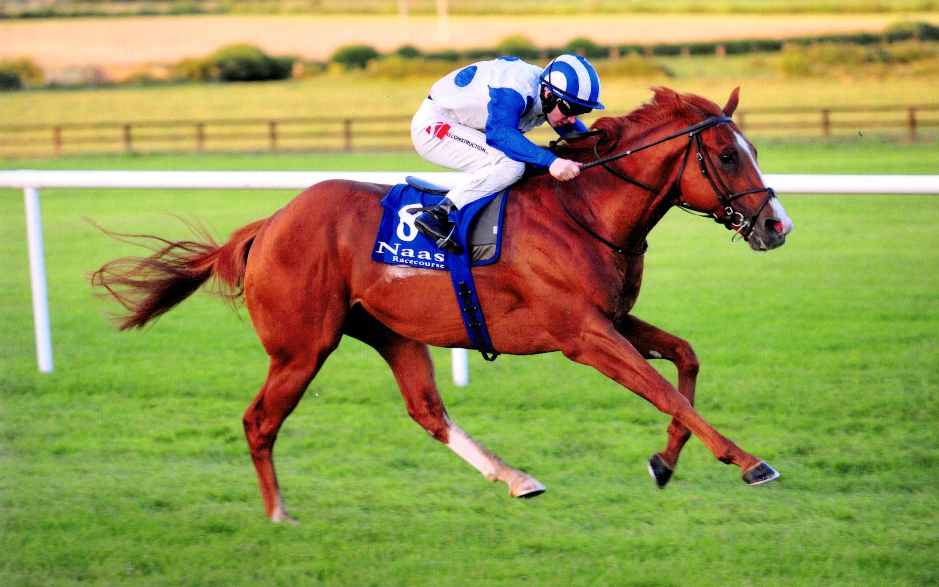 PSYCHEDELIC FUNK returns to winning ways at Naas 25th July 2017